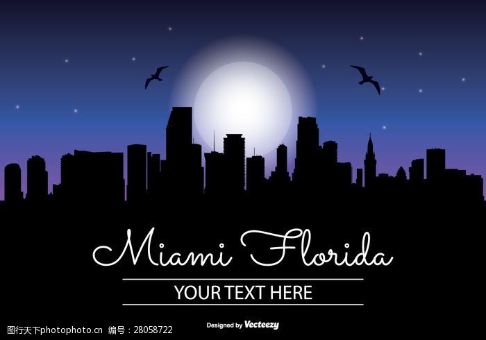 海天佛国迈阿密夜景天际线插图