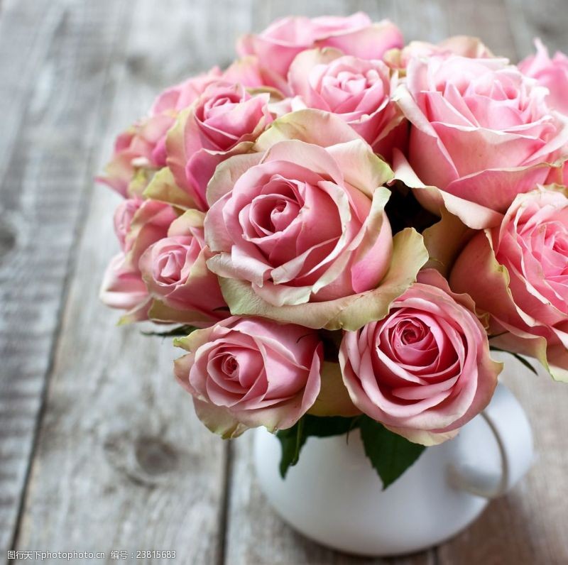 花束素材唯美的玫瑰植物