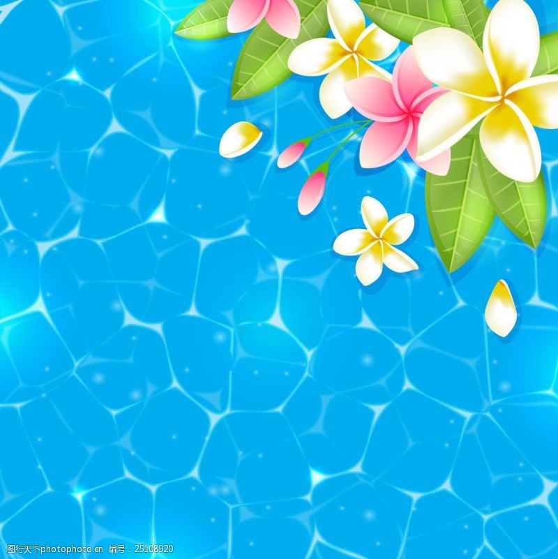 水面上的花图片免费下载 水面上的花素材 水面上的花模板 图行天下素材网