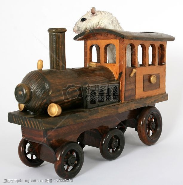 宠物驱虫可爱的啮齿动物驾驶火车