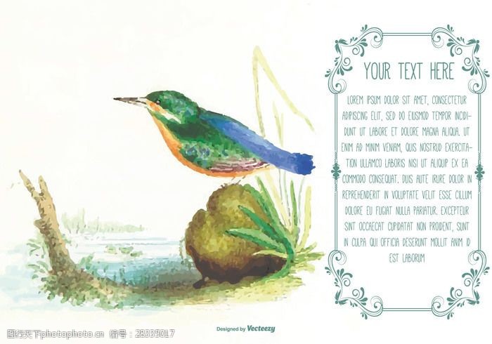 漂亮的春字美丽的水彩鸟文本模板