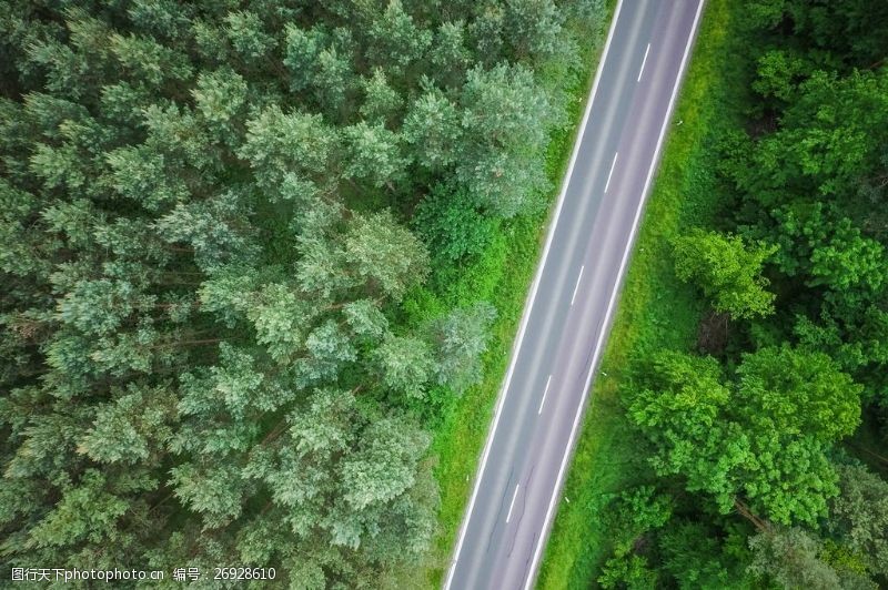 高速公路下载森林公路图片