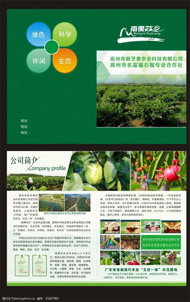 绿色农业企业简介折页
