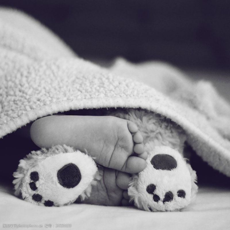 婴儿脚婴儿和小熊脚丫图片