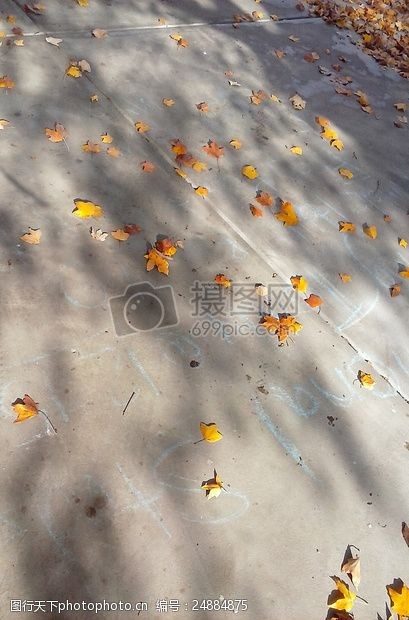 橙色叶子人行道上叶子秋天橙色路面水泥粉笔忙角度多如牛毛