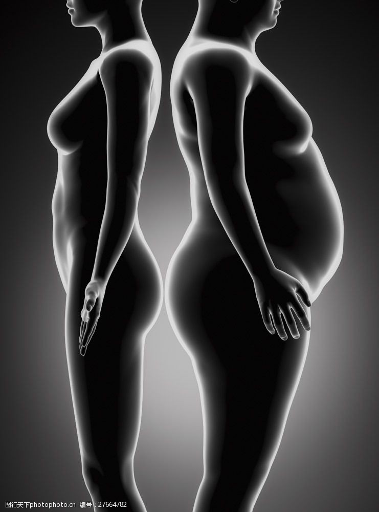 身体器官瘦身女性与肥胖女性图片