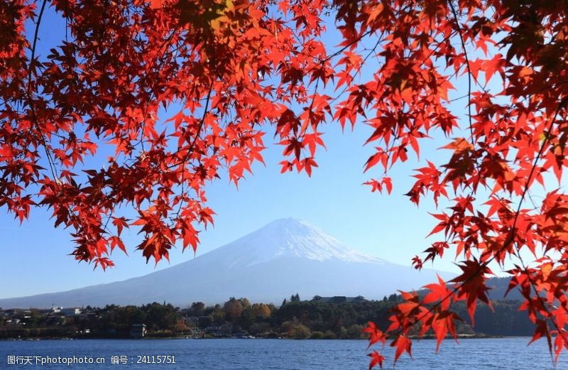 日本游富士山