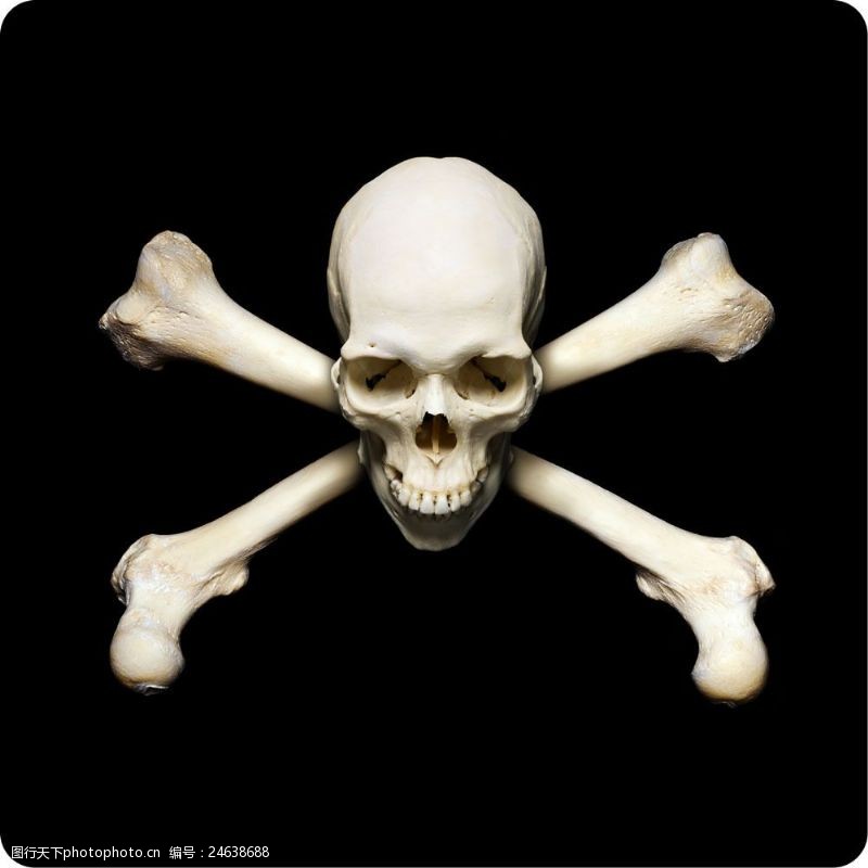 海盗骷髅头骨高清骷髅大图图片