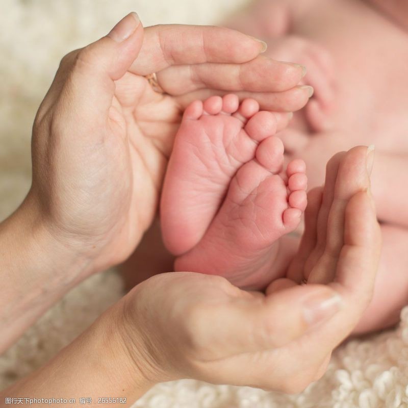 婴儿脚捧着小脚丫的手图片