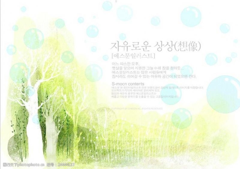 树木插画韩国手绘树林