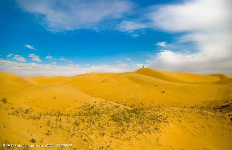金黄色沙漠风景图片素材