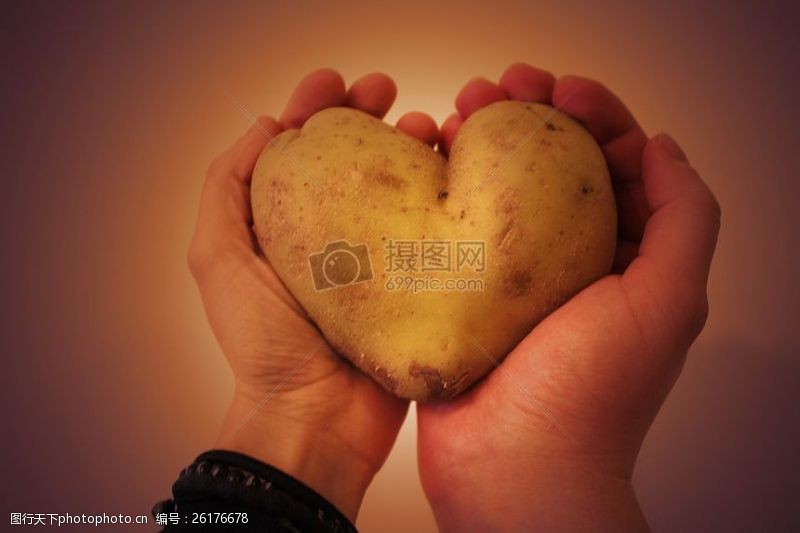 两个心形手中握着的心形土豆