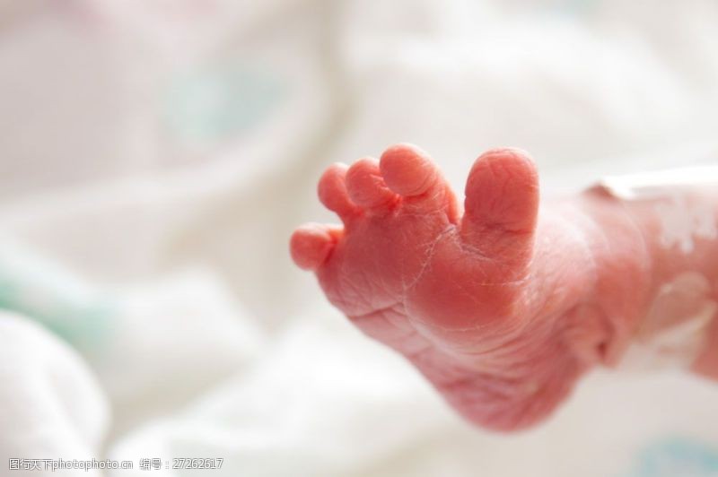 婴儿脚新生儿的小脚丫图片