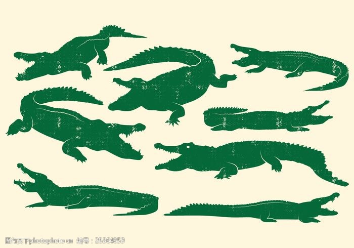 美式卡通鳄鱼设计矢量集