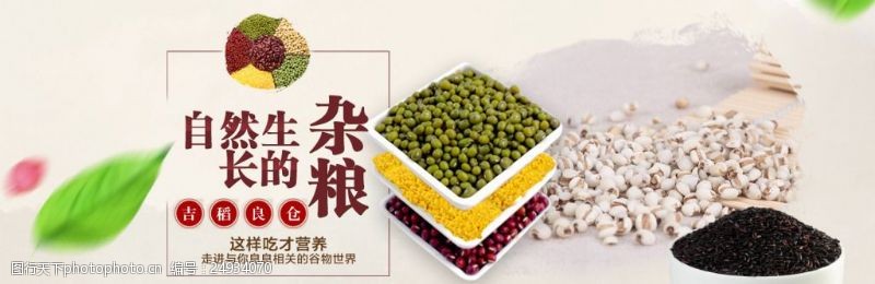 米白红豆薏米杂粮海报