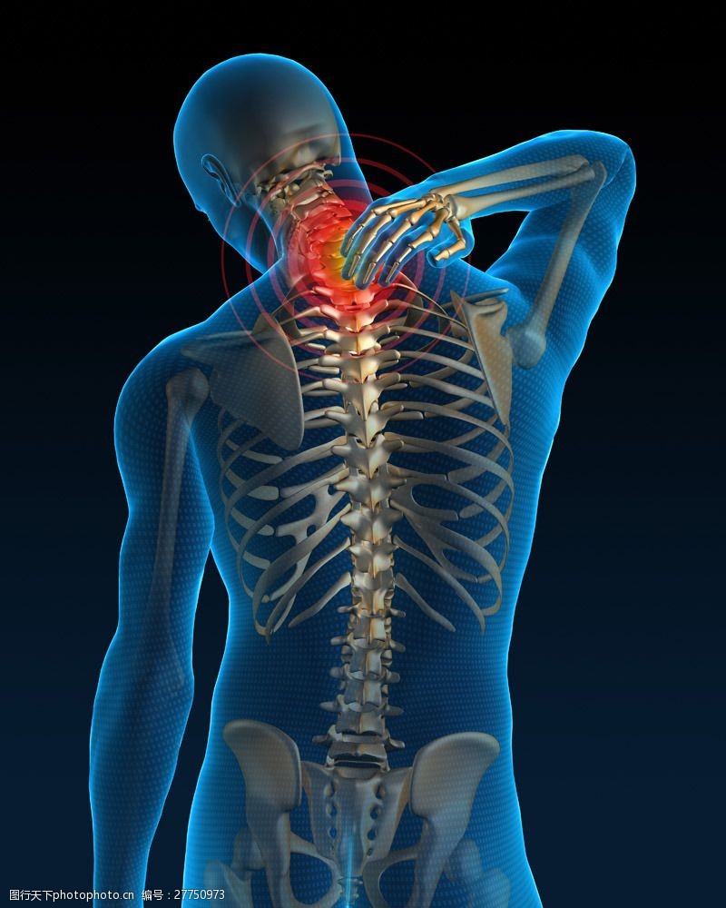 骨骼结构图肩周炎疼痛图片