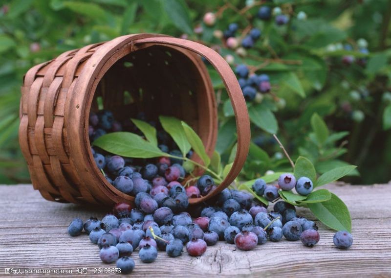 世界美食蓝莓与水果篮图片