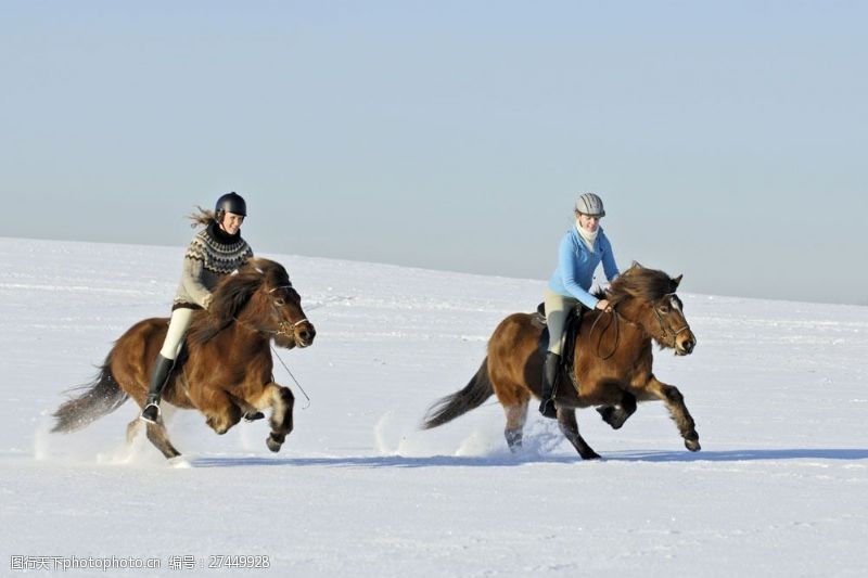 雪地里赛马的两个女孩图片