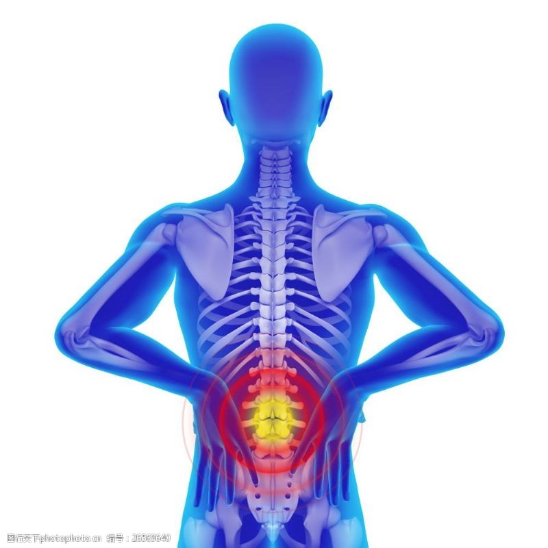 人体器官图腰部骨骼关节疼痛图片