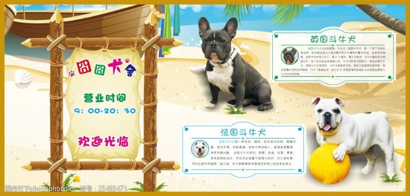宠物宣传单宠物沙滩风格海报DM宣传单