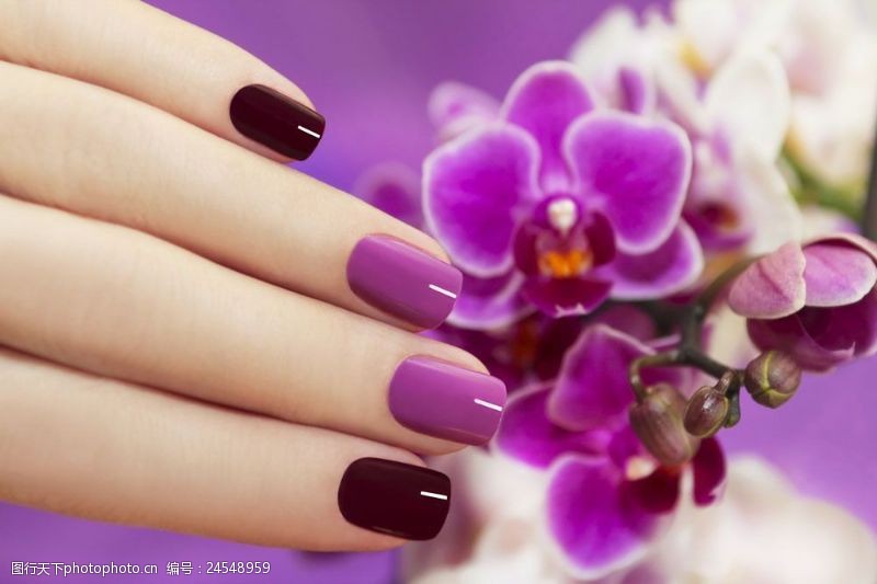 指甲油紫色指甲设计图片