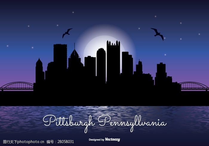 宾夕法尼亚匹兹堡夜景天际线插图