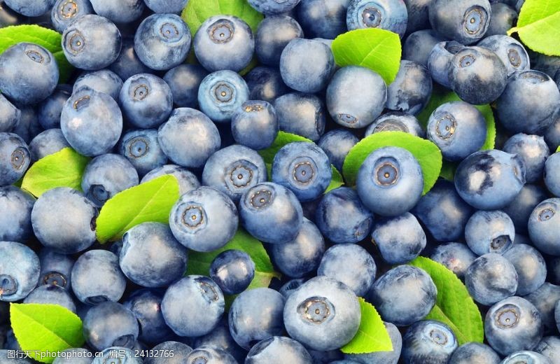 水果大世界新鲜蓝莓