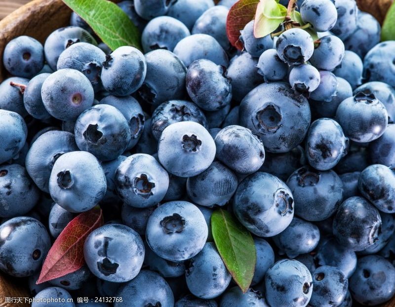 水果大世界诱人蓝莓