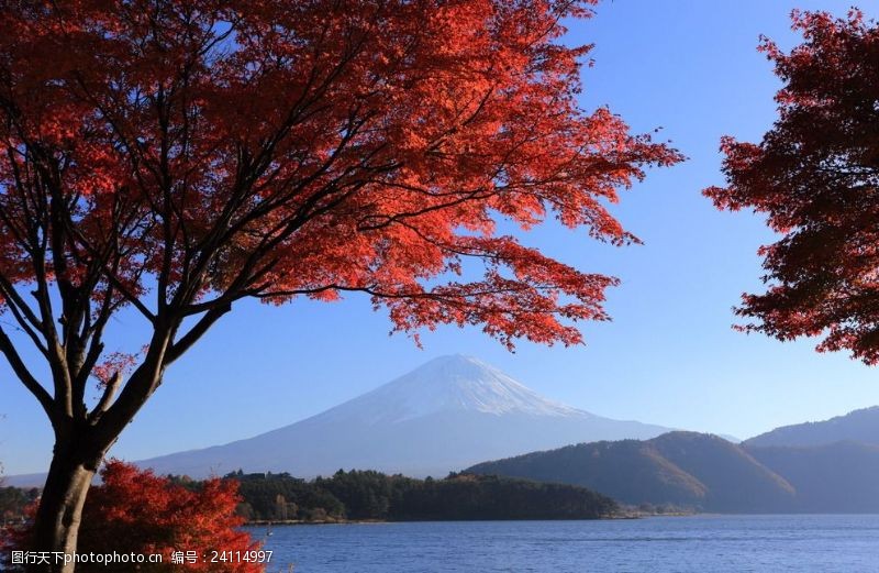 碧水富士山