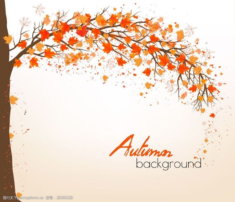 秋季梦幻树叶背景秋天枫树背景设计素材图片