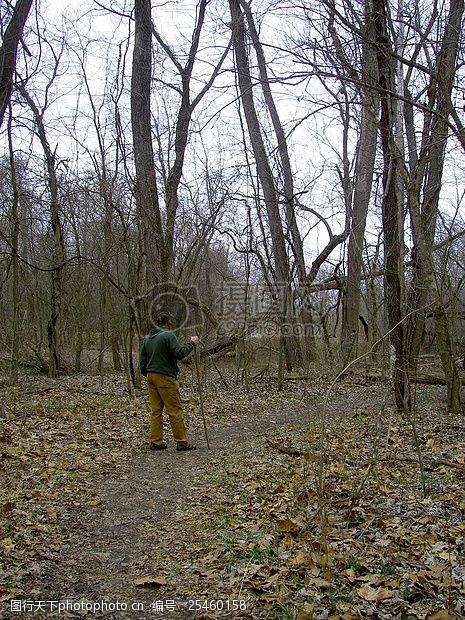 森林里独自散步的人