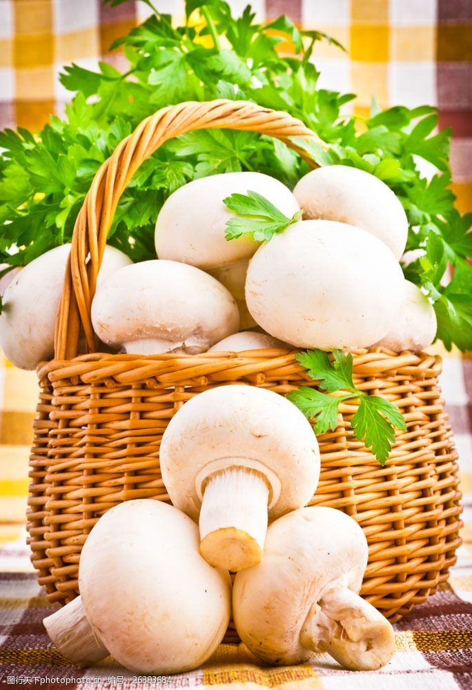 蘑菇菜蘑菇与青菜背景图片