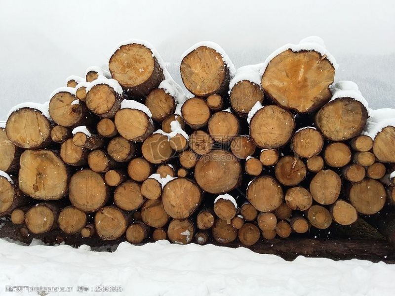 木柴冬天里的木材