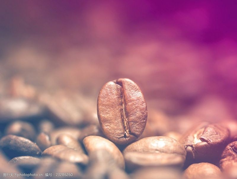 美式咖啡咖啡豆