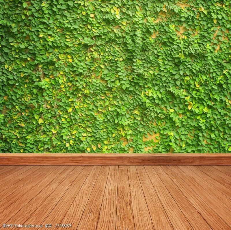 房地产样板房空间木纹地板绿草背景底纹