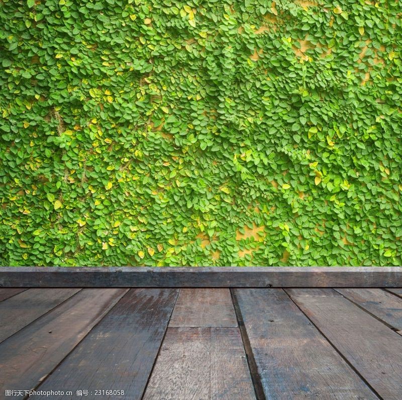 房地产样板房空间木纹地板绿草墙面背景底纹