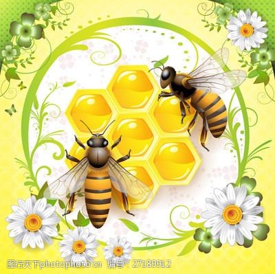自然景象蜜蜂与蜜蜂的图形
