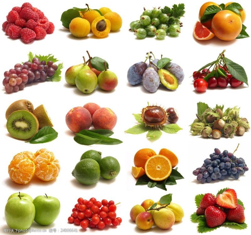 梨图片素材水果广告素材图片