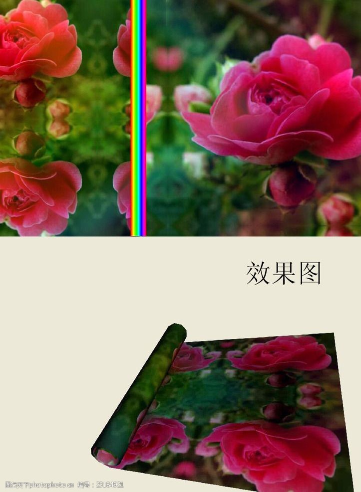 蔷薇背景图片免费下载 蔷薇背景素材 蔷薇背景模板 图行天下素材网