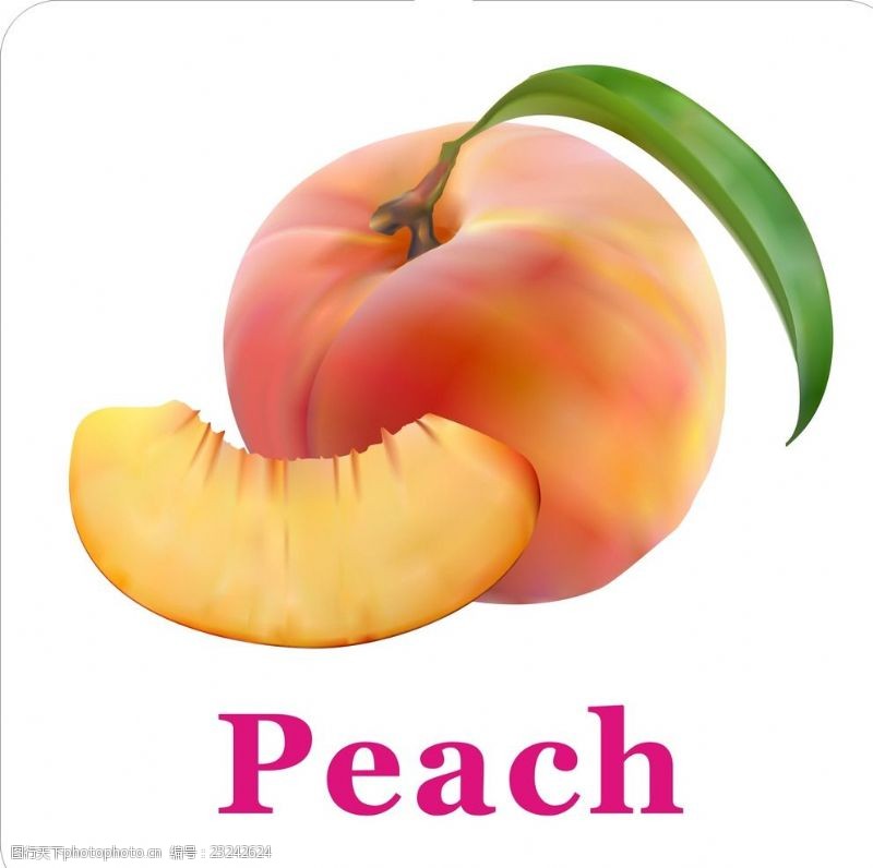 卡通菠萝矢量图卡通水果桃子加英文名称