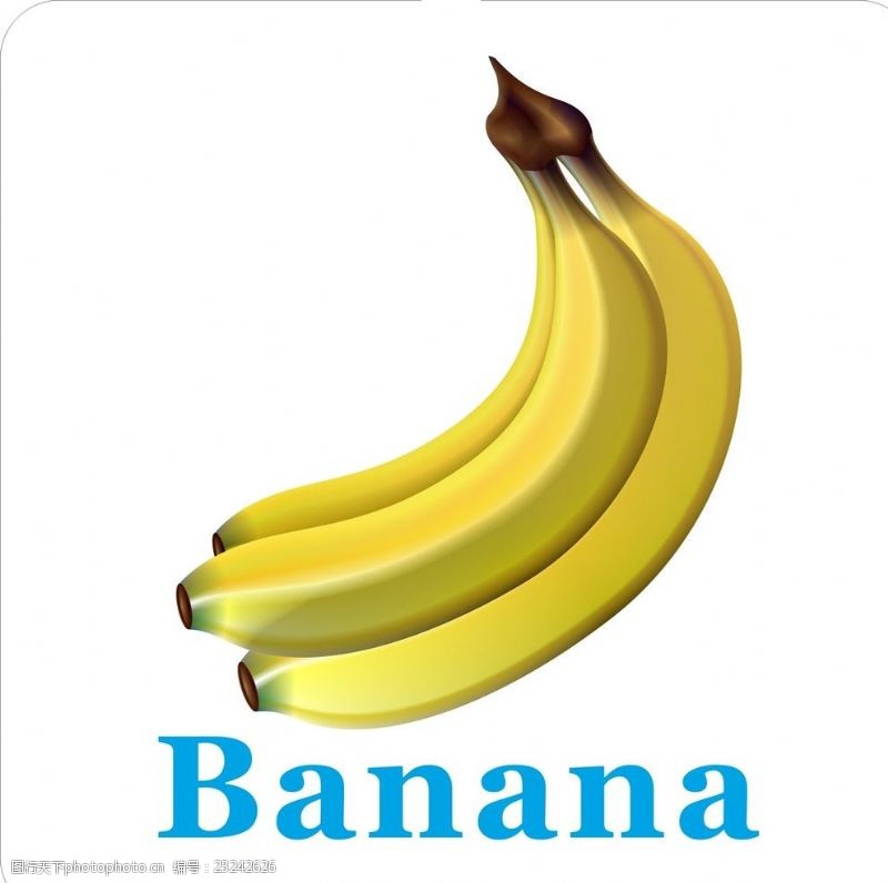 卡通菠萝矢量图卡通水果香蕉加英文名称