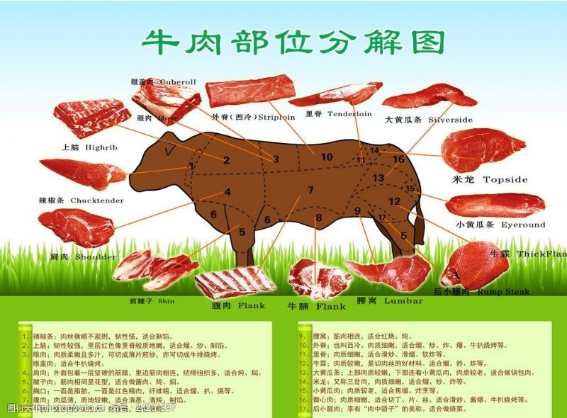 牛身牛肉分解图
