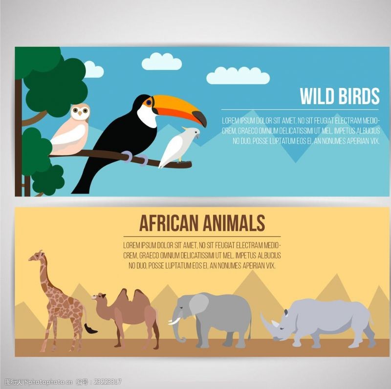 犀牛非洲动物和野生鸟类横幅