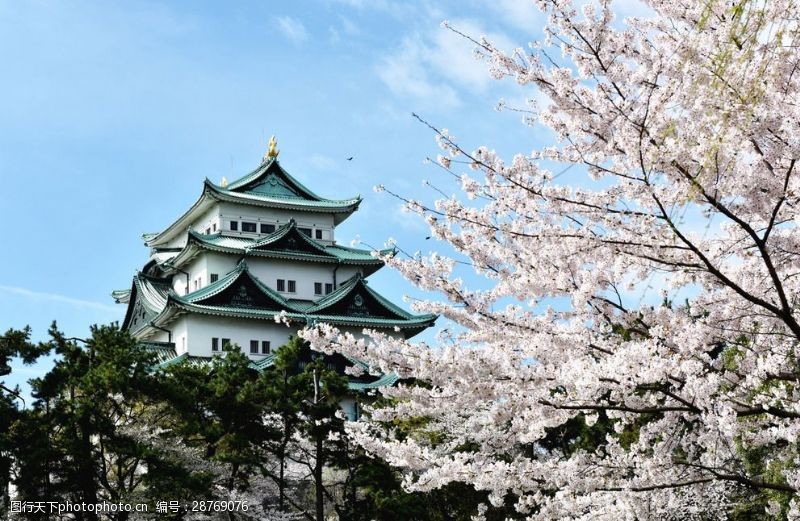 樱花旅游日本风情