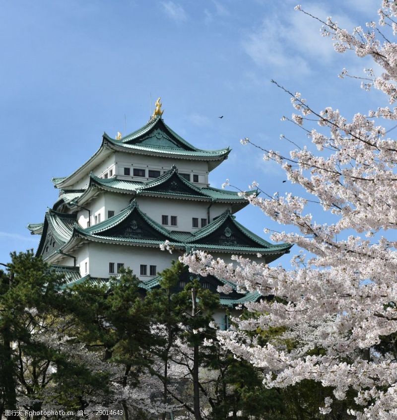 樱花旅游日本风情