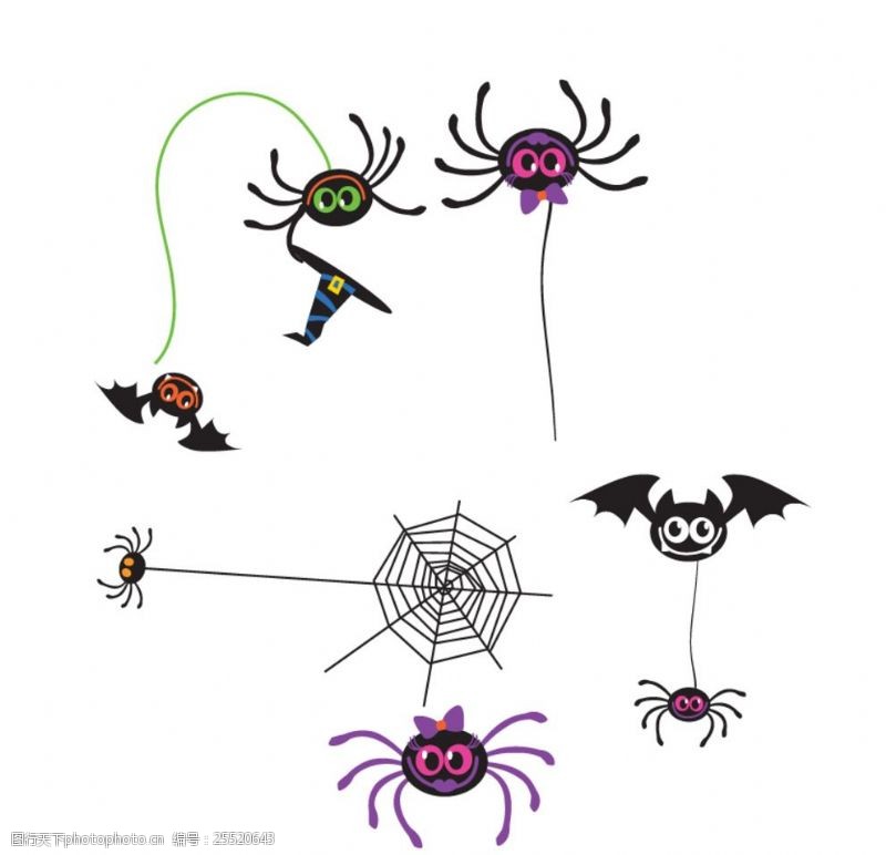 蜘蛛网蜘蛛蝙蝠